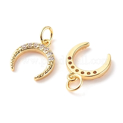 Латунные микропаве прозрачные подвески с фианитом&nbsp;X-ZIRC-P094-24G-RS