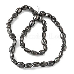 Стеклянные бусины с гальваническим покрытием  EGLA-V001-04