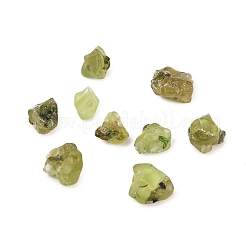 Natürliche Peridot Perlen&nbsp;X-G-D363-A01