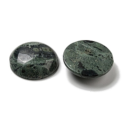 Natürliche Kambaba Jaspis Cabochons&nbsp;G-C115-02B-24