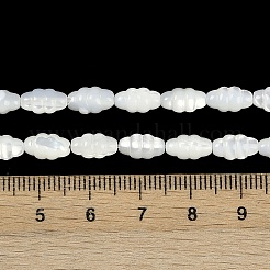 Нити бусин из натуральных пресноводных ракушек BSHE-H109-02