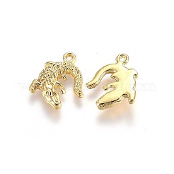 Aluminium Anhänger & Charms&nbsp;LS-TIBEP-A040-015G-NR