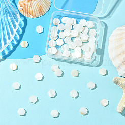 2 нить бусин из натуральных пресноводных ракушек SSHEL-SC0001-36C