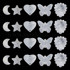 50 шт. 5 стиля кабошонов из натуральной ракушки с кружевной кромкой&nbsp;SHEL-TA0001-17