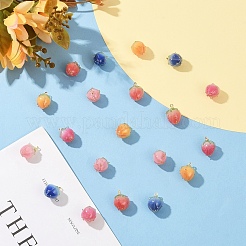 10 шт. 5-х цветные подвески из эпоксидной смолы ручной работы&nbsp;KY-YW0002-04