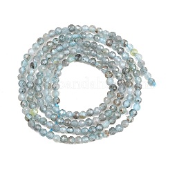 Natürliche Apatit Perlen Stränge&nbsp;G-RM250104-C5