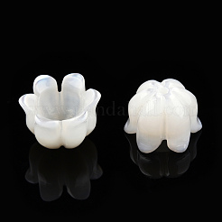 Шапочки из натуральных белых ракушек SSHEL-N032-58B