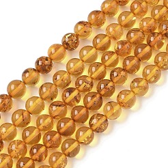 Янтарные шарики нити G-L095-B01-6mm-02