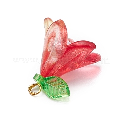 20шт акриловые подвески PALLOY-JF03110-03