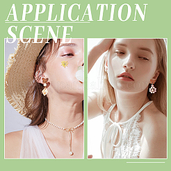 20 пара фурнитуры для серег из орехового дерева WOOD-DC0001-02