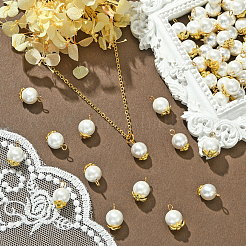 50 шт.&nbsp;FIND-CJ0001-48