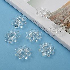 Прозрачные акриловые бусины&nbsp;X-TACR-491-01