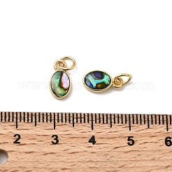 Ovale Anhänger aus Epoxidharz und natürlicher Paua-Muschel&nbsp;KK-K384-20A-G