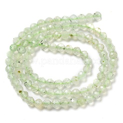 Природные пренит нитей бисера G-G161-A13-03