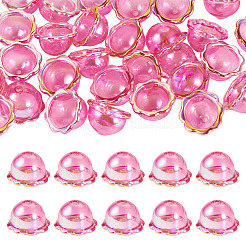 30 шт.&nbsp;PACR-TA0001-20A