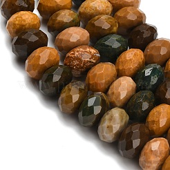 Океан Природный яшмы бисер нитей G-C259-A14-6x10mm