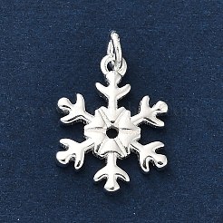 925 стерлингов серебряные подвески FIND-Z069-04S-B