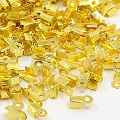 Eisenklapp Crimp-Enden&nbsp;E033Y-G-01