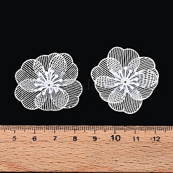 Окрашенные распылением железные колпачки&nbsp;IFIN-N013-05D