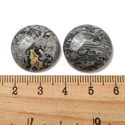 Cabochon in pietra con mappa naturale&nbsp;G-C115-02A-20