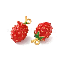 Pendentifs d'émail en alliage&nbsp;FIND-O003-12F-MG