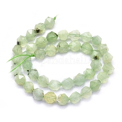 Perline Prehnite naturale fili&nbsp;G-L552O-03-10mm