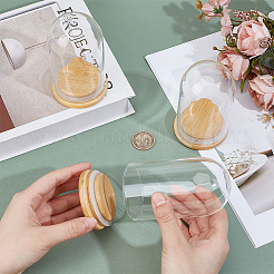 Стеклянный купол AJEW-WH0609-090