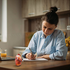 Украшение дисплея факела натурального красного агата&nbsp;DJEW-WH0038-49