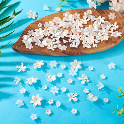 270 шт. 9 вида акриловых бусин с имитацией жемчуга&nbsp;OACR-TA0004-01