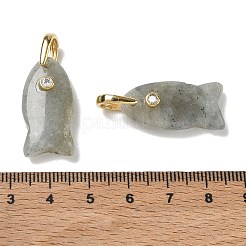 Ciondoli labradorite naturale&nbsp;G-A297-01G-15