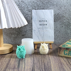 Свеча в форме совы своими руками PW-WG70504-01