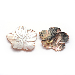 Подвески из неокрашенных ракушек&nbsp;SSHEL-E564-36A