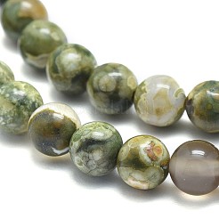 Riolite naturale perline di diaspro fili&nbsp;G-F674-03A-6mm