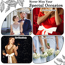 2 шт. двухцветная атласная лента для обертывания вокруг цепочных ремней AJEW-CP0009-47