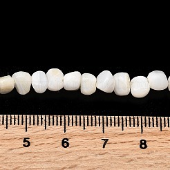 Нити бусин из натуральных пресноводных ракушек SHEL-B003-05