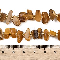 Naturbernsteinperlen Stränge&nbsp;G-P619-A02-01
