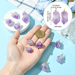10 шт. Подвески из натурального аметиста&nbsp;PALLOY-CJ00158