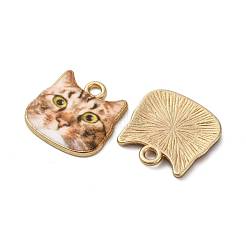 Подвески из эмали и сплава&nbsp;ENAM-V002-04G-01