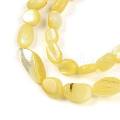 Нити бусин из натуральной белой ракушки SHEL-N036-21H