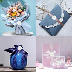 10 цветное украшение для ухода за ногтями из бумаги для домашних животных&nbsp;DIY-CP0003-68