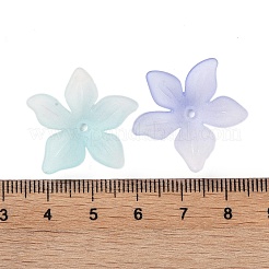 Прозрачные акриловые шарики OACR-B022-02C