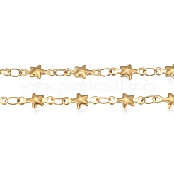 Цепи из нержавеющей стали 304 STAS-P219-74G