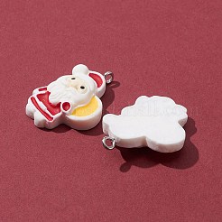 10шт 5 стиля непрозрачные подвески из смолы RESI-FS0001-29