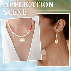 20 шт. 2 стиля подвески из натуральной ракушки каури/спиральной ракушки FIND-SC0014-25