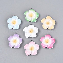 Подвески из непрозрачной смолы RESI-T059-05M