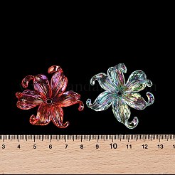 Прозрачные акриловые бусины&nbsp;LS-X-MACR-K358-06A