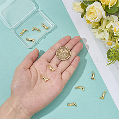 12 шт. Латунные подвески&nbsp;ZIRC-BC00001-27G