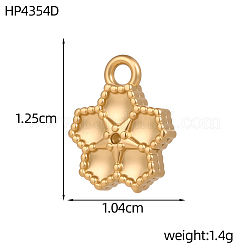 Breloques en acier inoxydable 304&nbsp;SA-OY001-44G