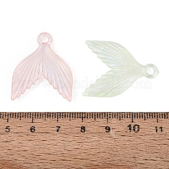Transparente Kunststoffanhänger&nbsp;KY-N025-61