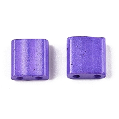 2-луночное стекло для выпечки&nbsp;SEED-S023-17C-24